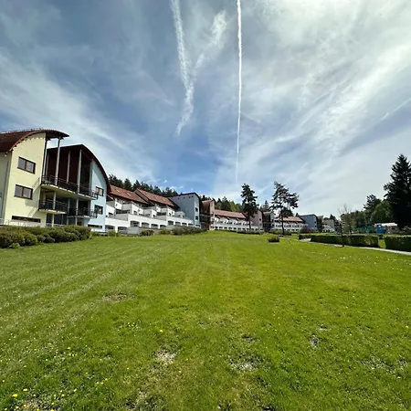 Apartment Snow Lipno