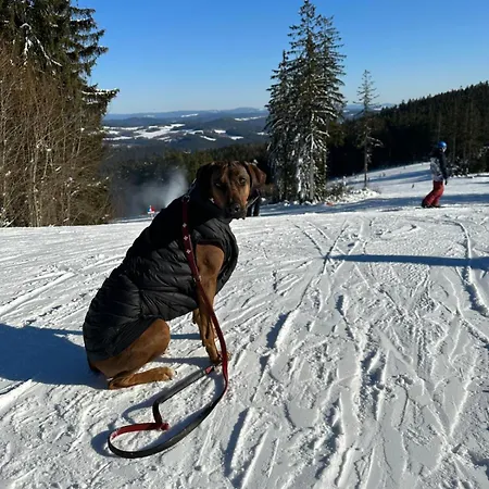 Snow Lipno Apartmán