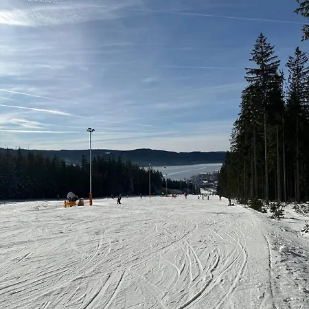 Apartmán Snow Lipno Lipno nad Vltavou