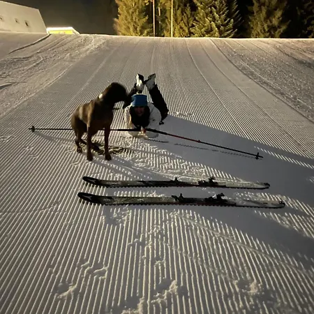 Snow Lipno Apartmán Lipno nad Vltavou