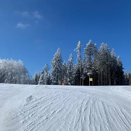 Apartment Snow Lipno