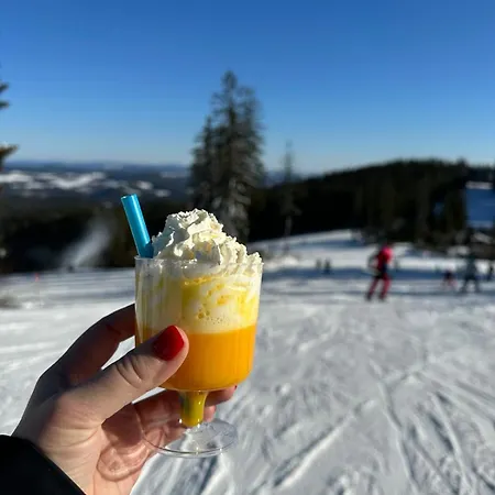 아파트 Snow Lipno