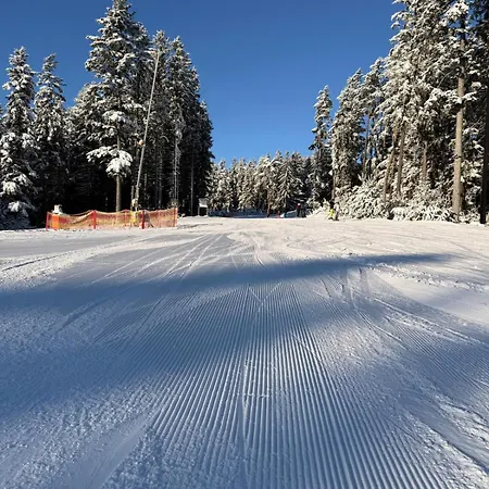 아파트 Snow Lipno *