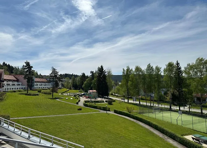Snow Lipno