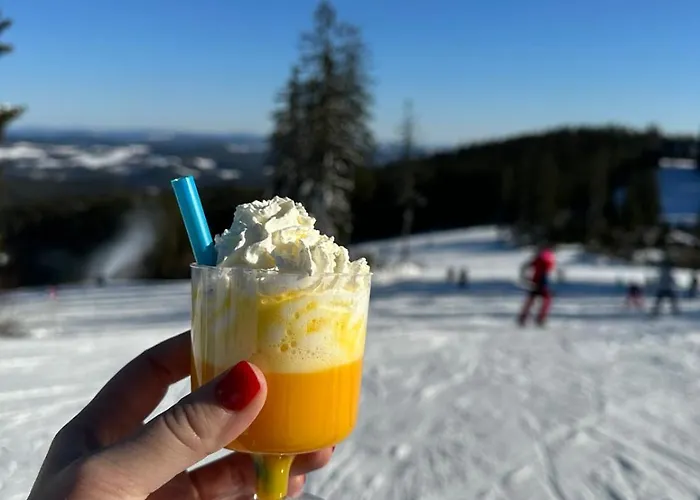 Apartment Snow Lipno