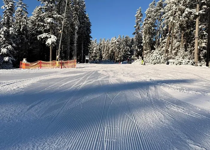 شقة Snow Lipno *